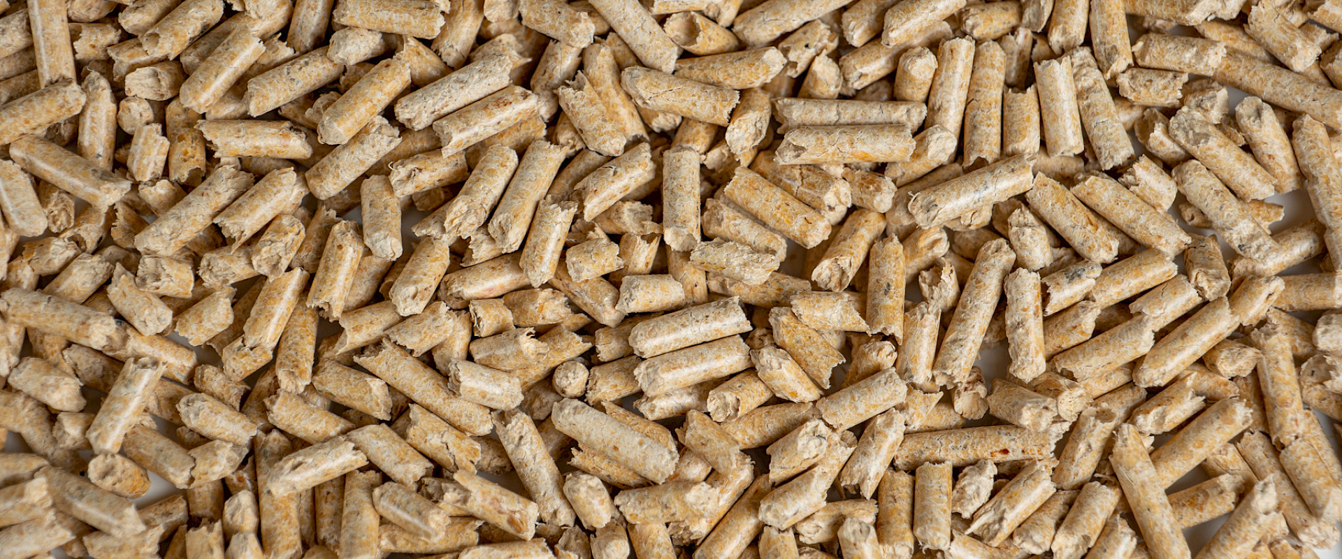 Klaus Weber, Heizung, Sanitär, Badsanierung, HSK, Klimatechnik, Wohnraumlüftung, Lüftungstechnik, Wärmepumpe, Gasbrennwertheizung, Pelletheizung, Haustechnik, Gas- und Wasserinstallateur, Heizungsbauer, Anlagenmechaniker für Sanitär, Heizung und Klima, Oldenburg