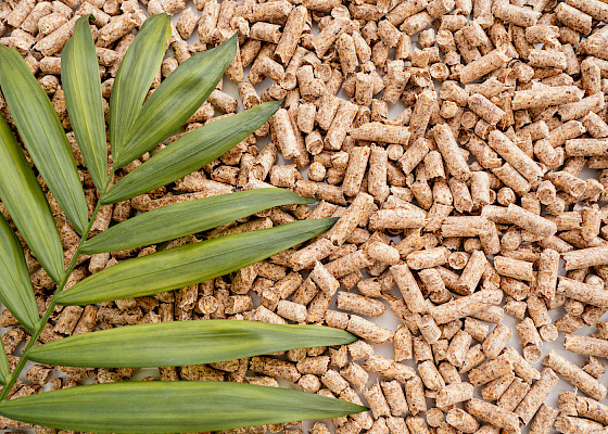 Klaus Weber, Heizung, Sanitär, Badsanierung, HSK, Klimatechnik, Wohnraumlüftung, Lüftungstechnik, Wärmepumpe, Gasbrennwertheizung, Pelletheizung, Haustechnik, Gas- und Wasserinstallateur, Heizungsbauer, Anlagenmechaniker für Sanitär, Heizung und Klima, Oldenburg